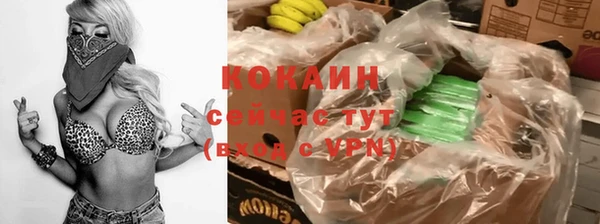 стаф Михайловск