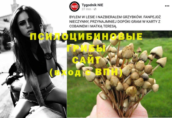 apvp Алзамай