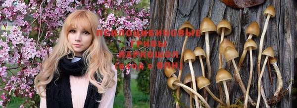 стафф Алексеевка