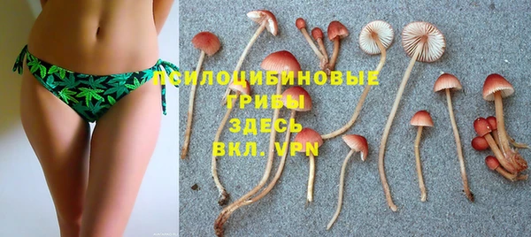 apvp Алзамай