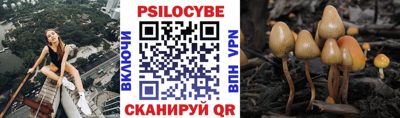 Псилоцибиновые грибы Psilocybine cubensis  продажа наркотиков  Советский 